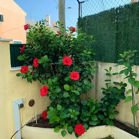 Σπίτι διακοπών House With 3 Bedrooms In With Wonderful Mountain View And Enclosed Garden 4 Km From The Beach